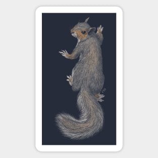 Gray Squirrel Magnet